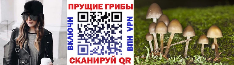 где продают Похвистнево Галлюциногенные грибы ЛСД